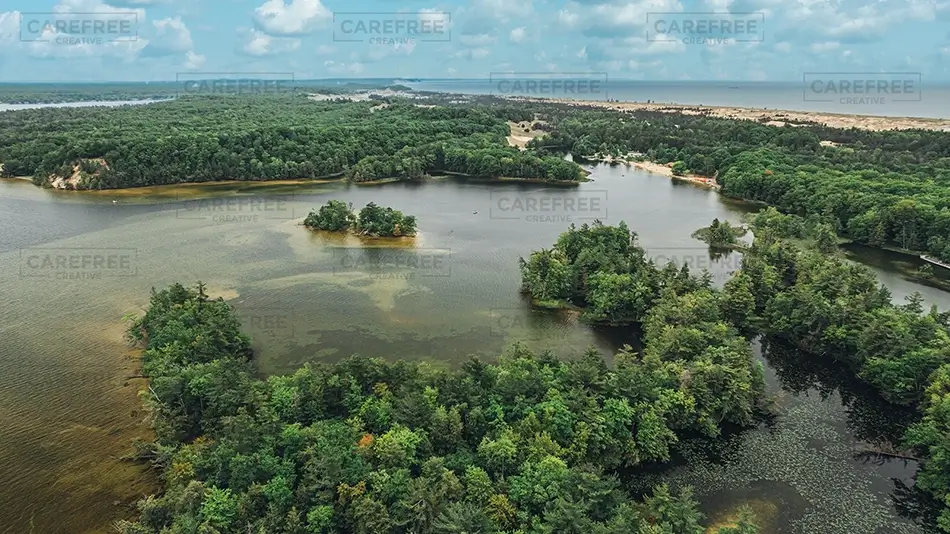 General Section Image