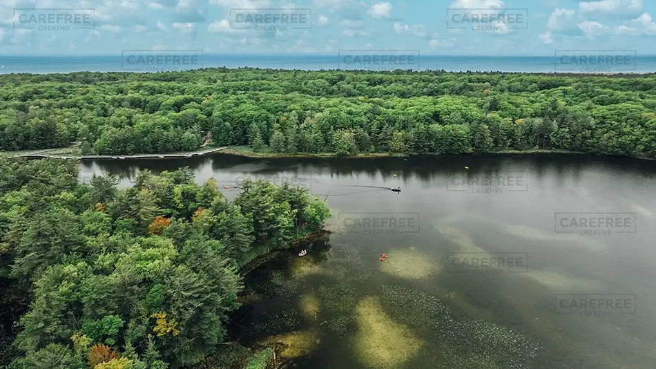 General Section Image