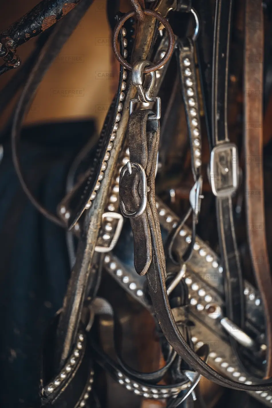 General Section Image