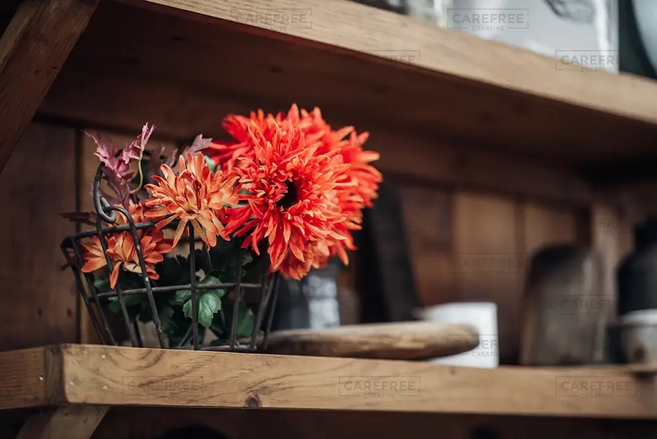 General Section Image