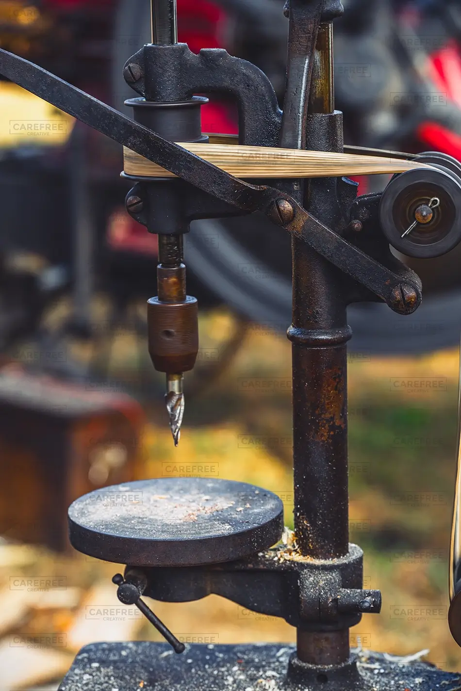 General Section Image