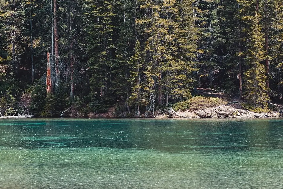 General Section Image