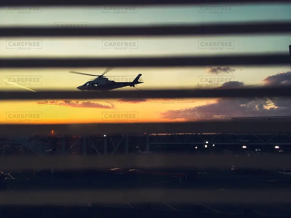 General Section Image