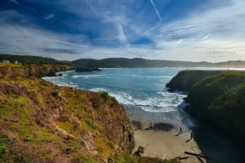 General Section Image