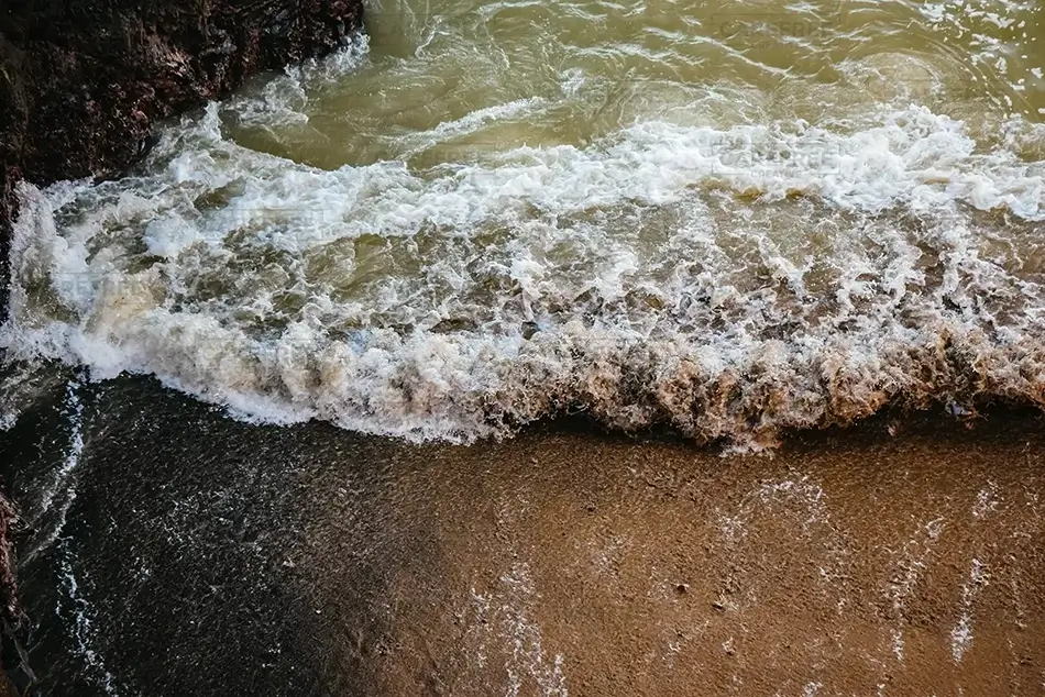 General Section Image