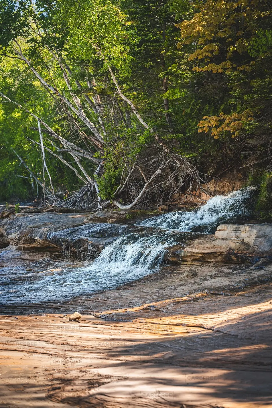 General Section Image