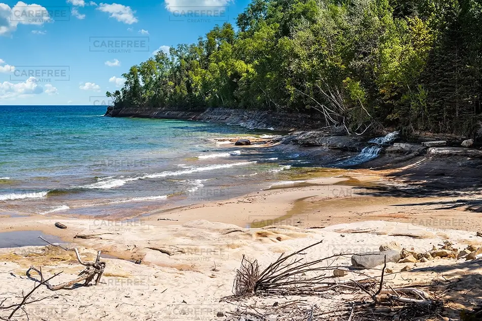 General Section Image