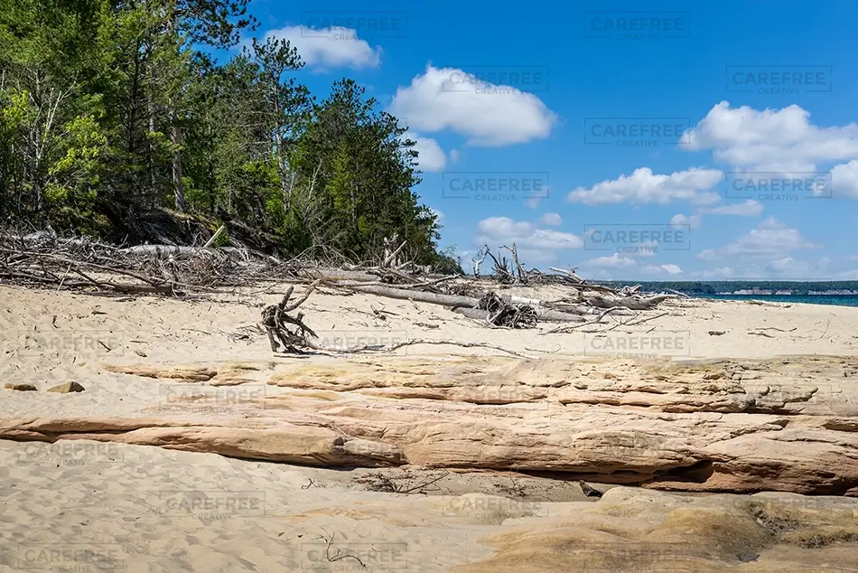 General Section Image