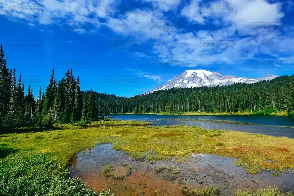 General Section Image