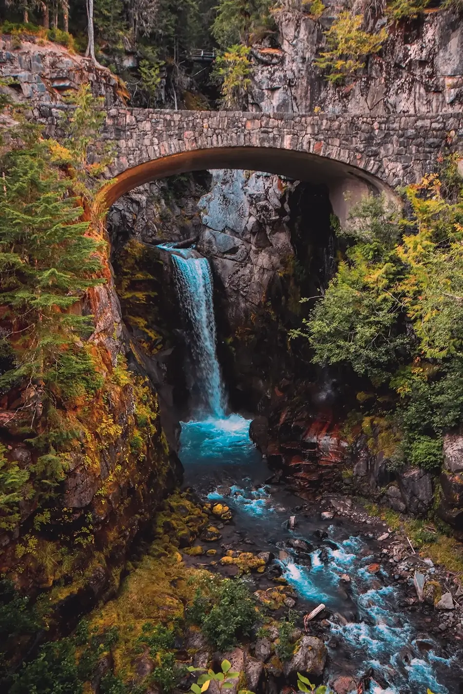 General Section Image