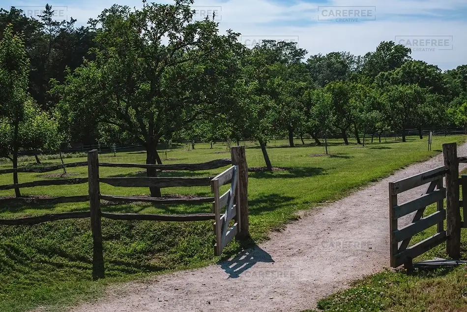 General Section Image