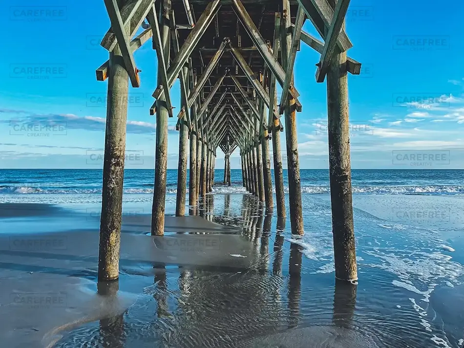 General Section Image