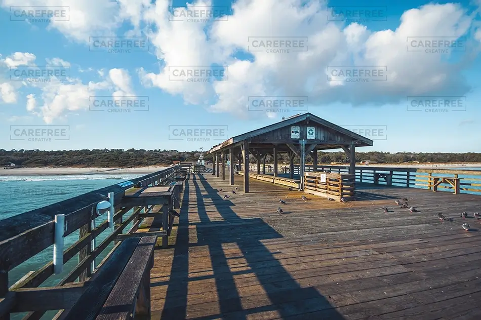 General Section Image