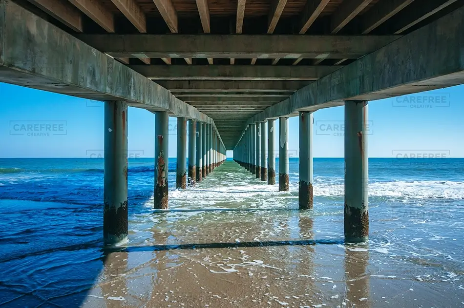 General Section Image