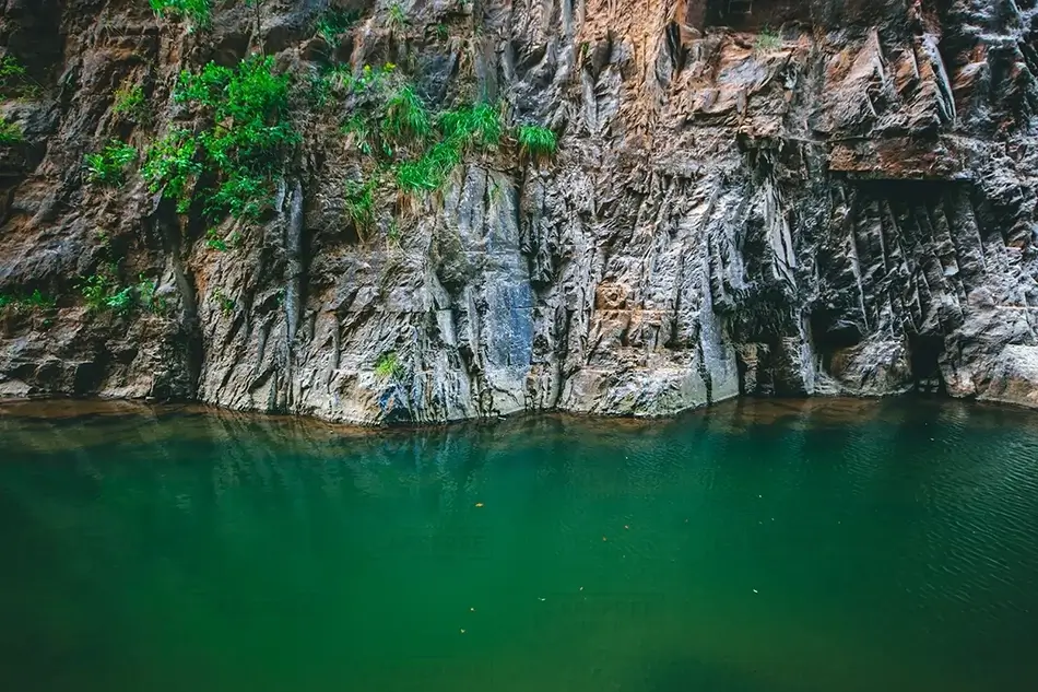 General Section Image