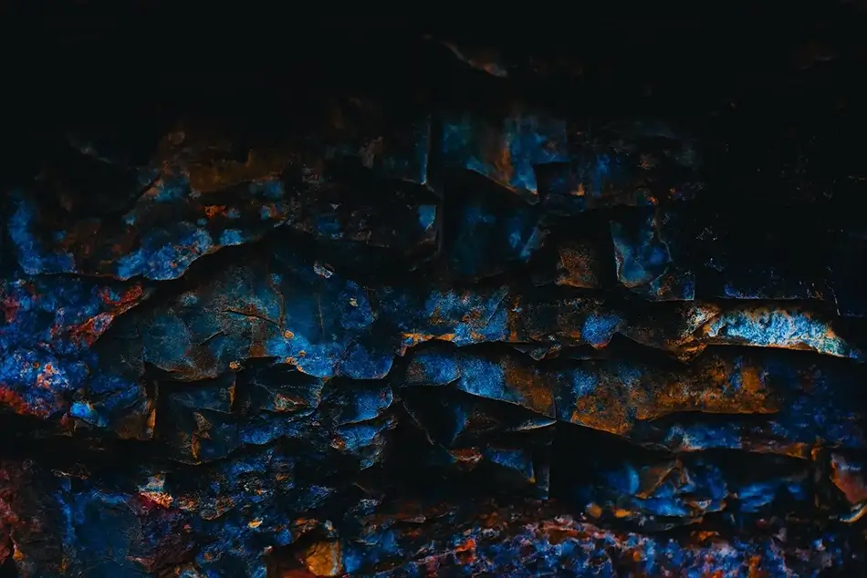 General Section Image