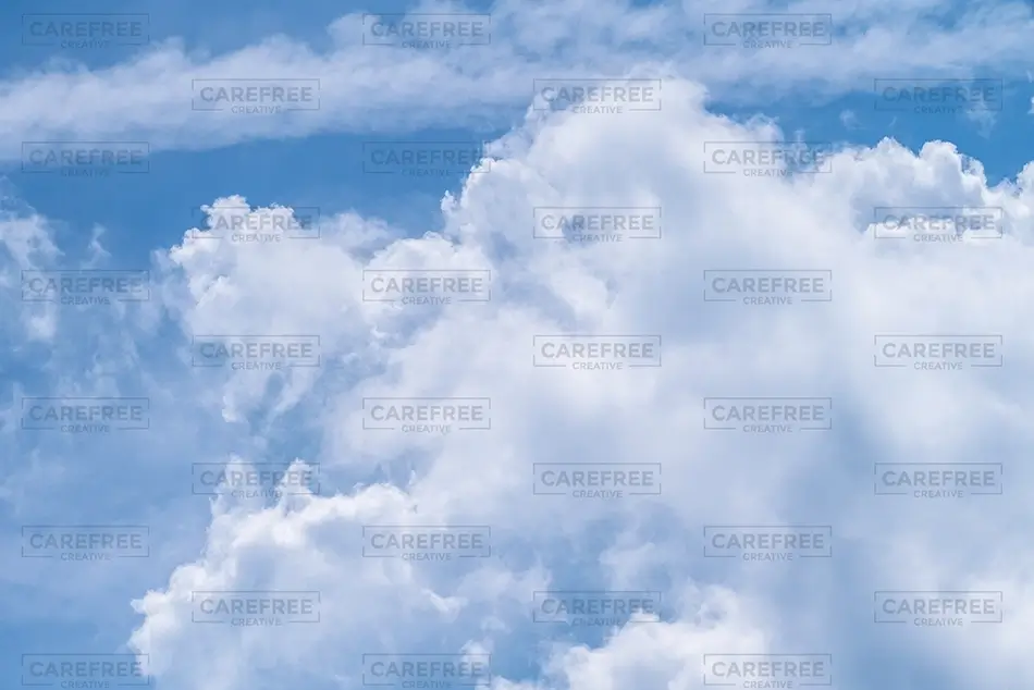 General Section Image