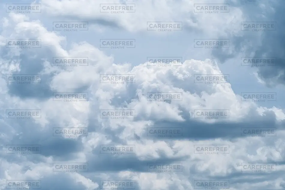 General Section Image