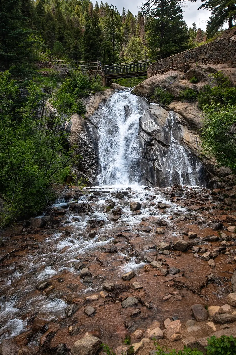 General Section Image