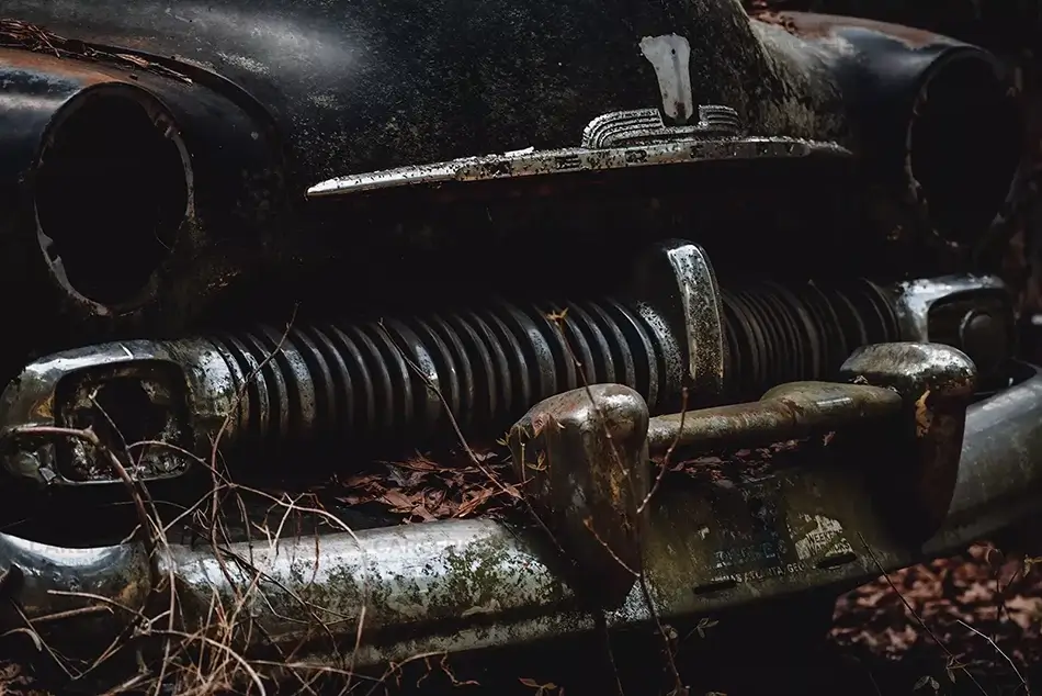 General Section Image