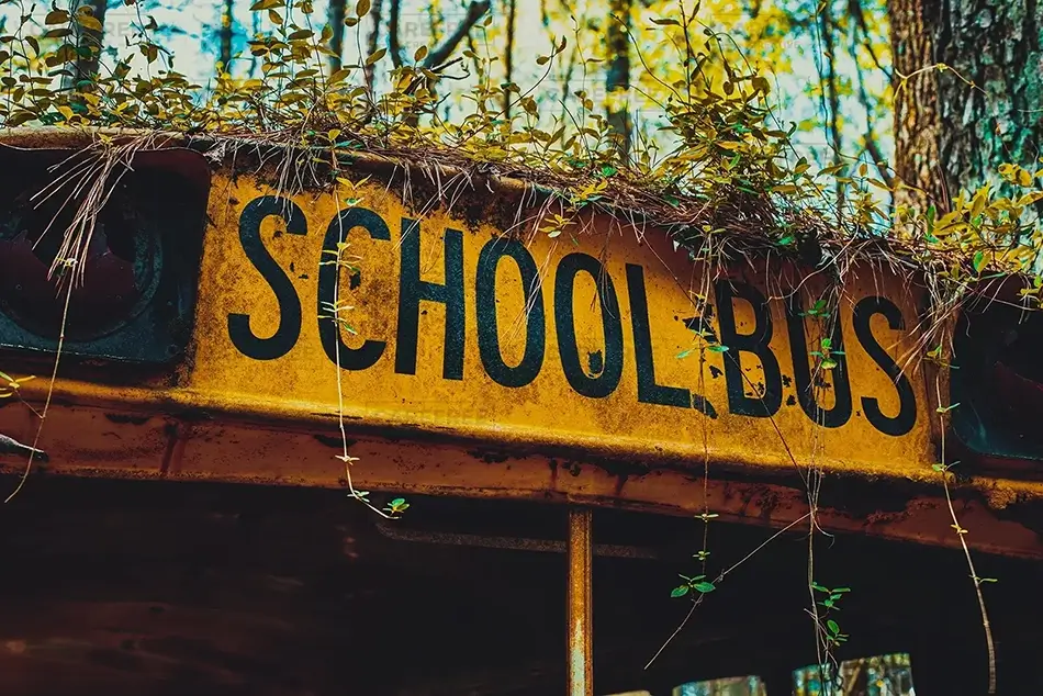 General Section Image