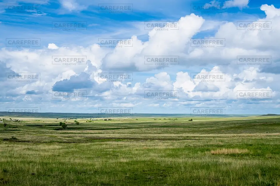 General Section Image