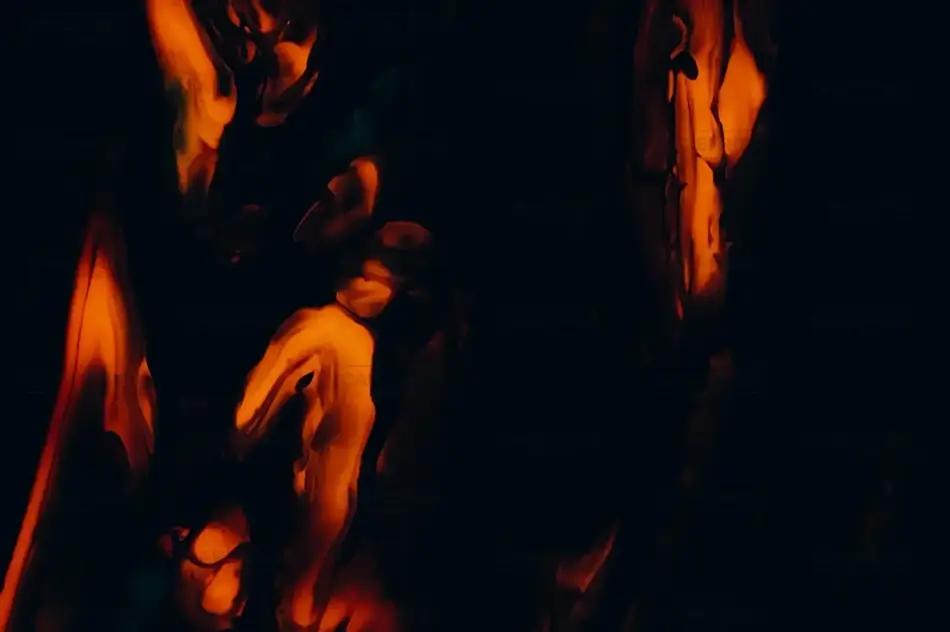 General Section Image