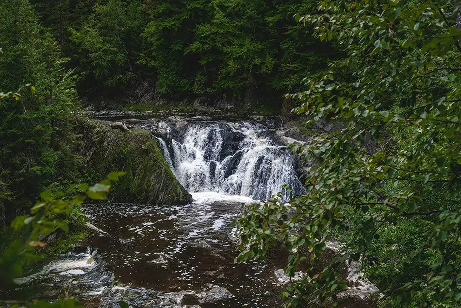 General Section Image