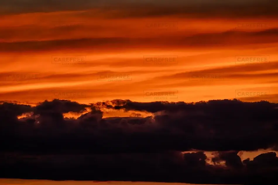 General Section Image