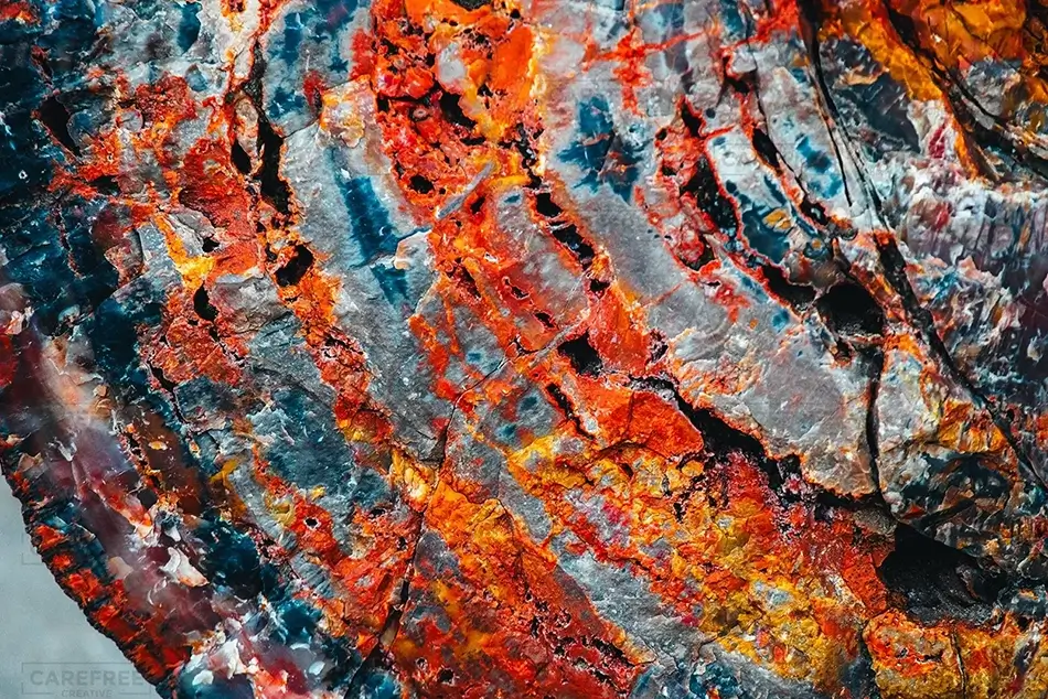 General Section Image