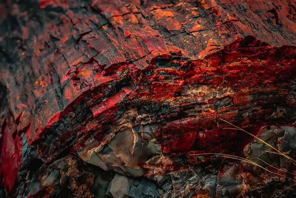 General Section Image