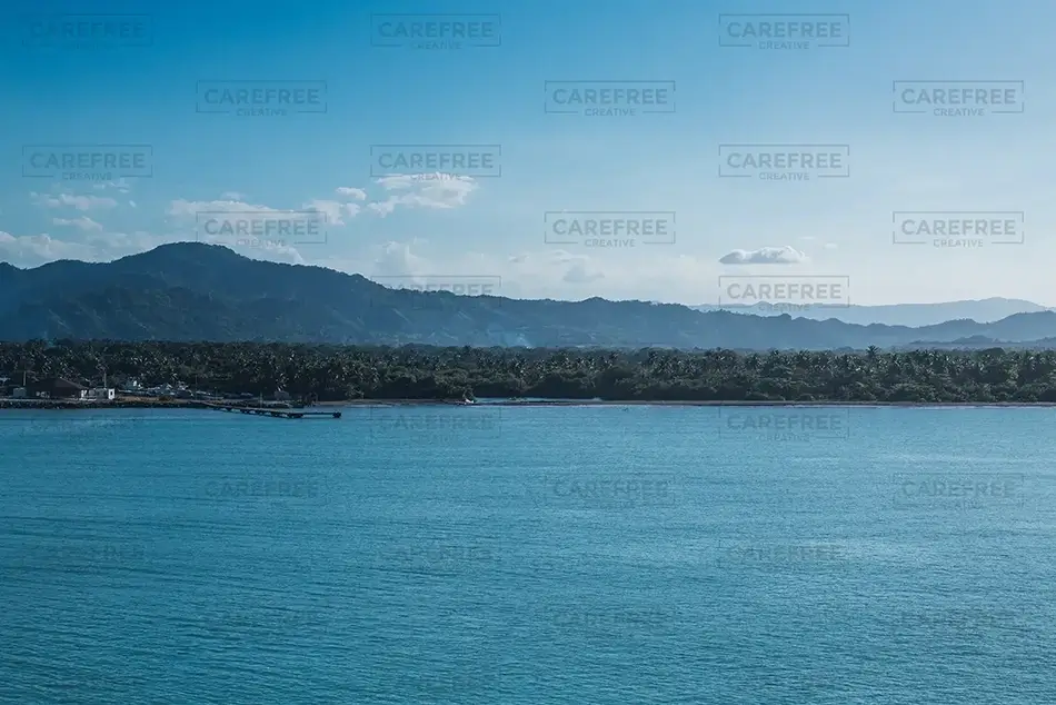 General Section Image