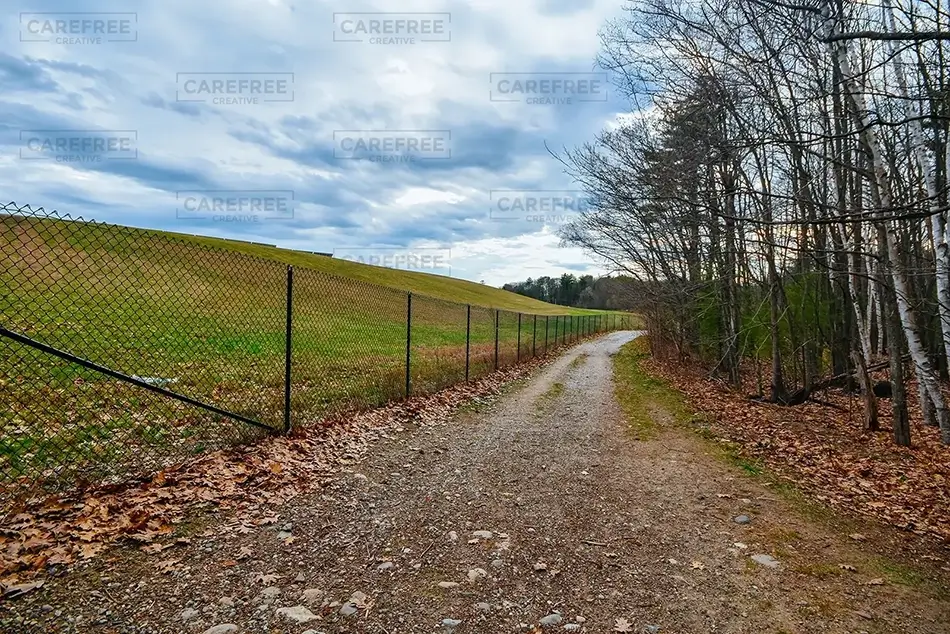 General Section Image