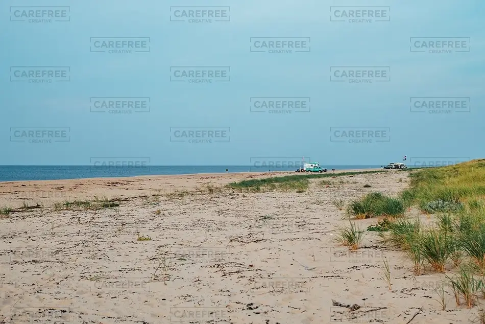 General Section Image