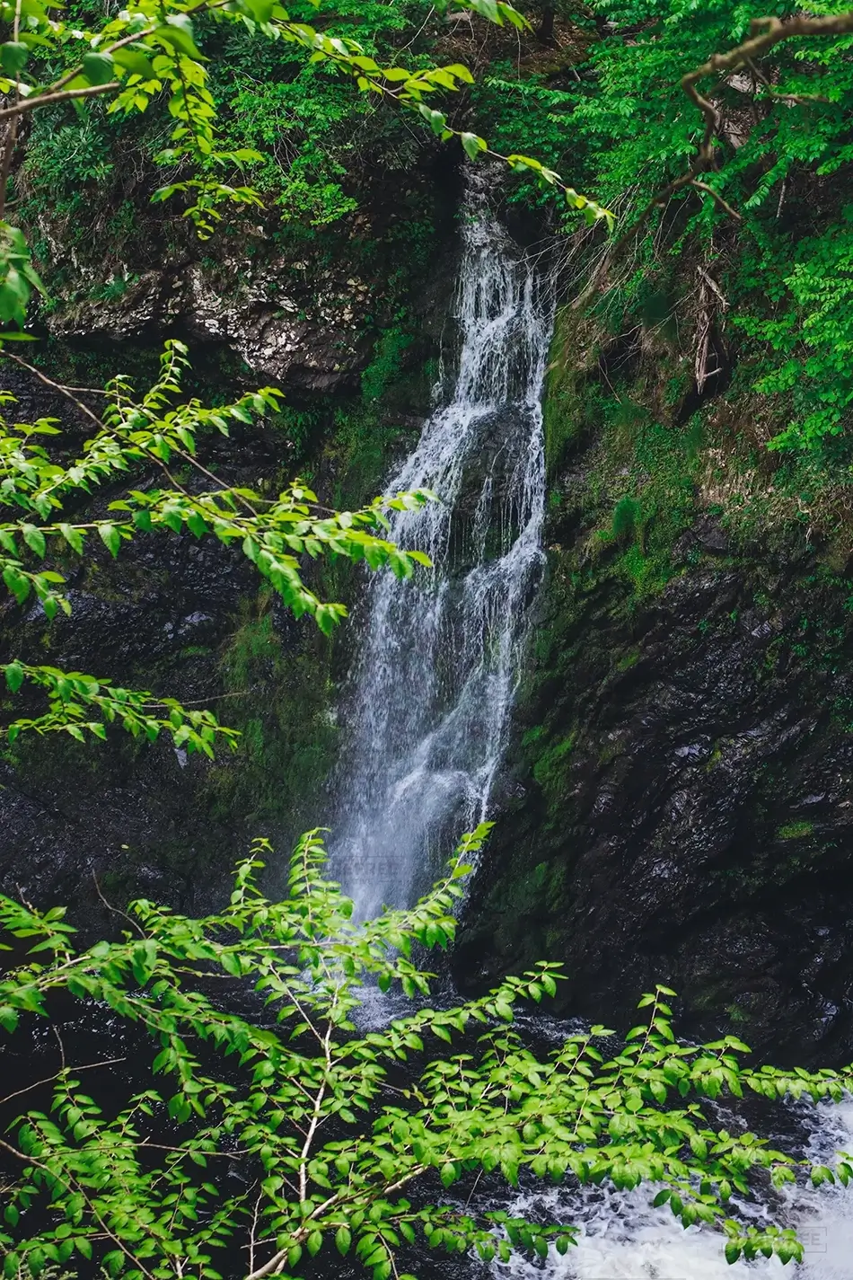 General Section Image