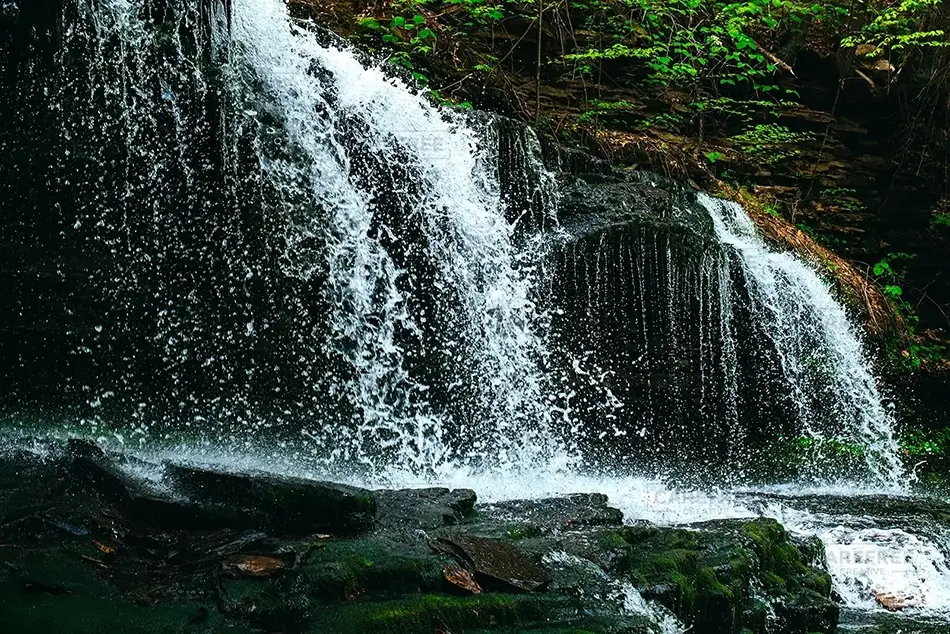 General Section Image