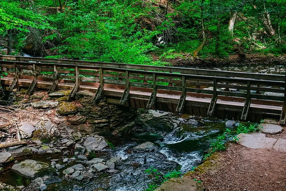 General Section Image