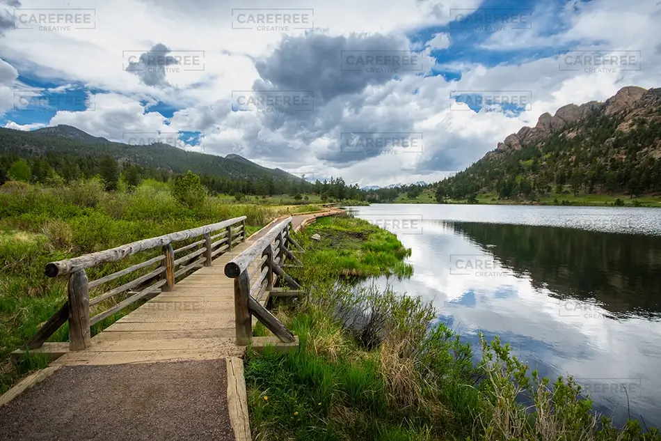 General Section Image