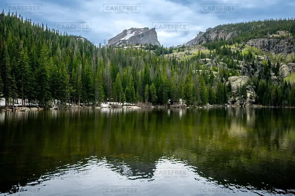 General Section Image