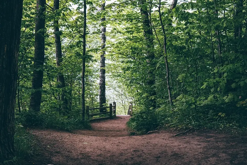 General Section Image