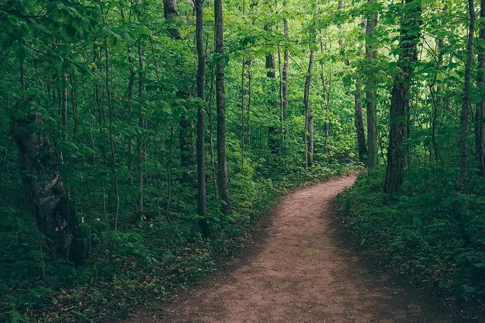 General Section Image