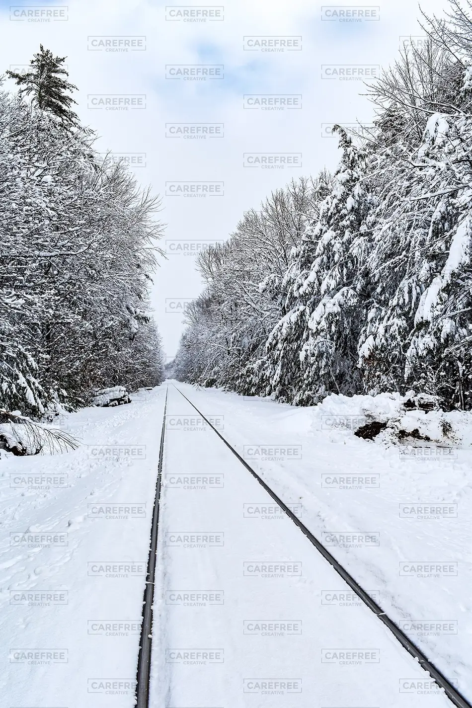 General Section Image