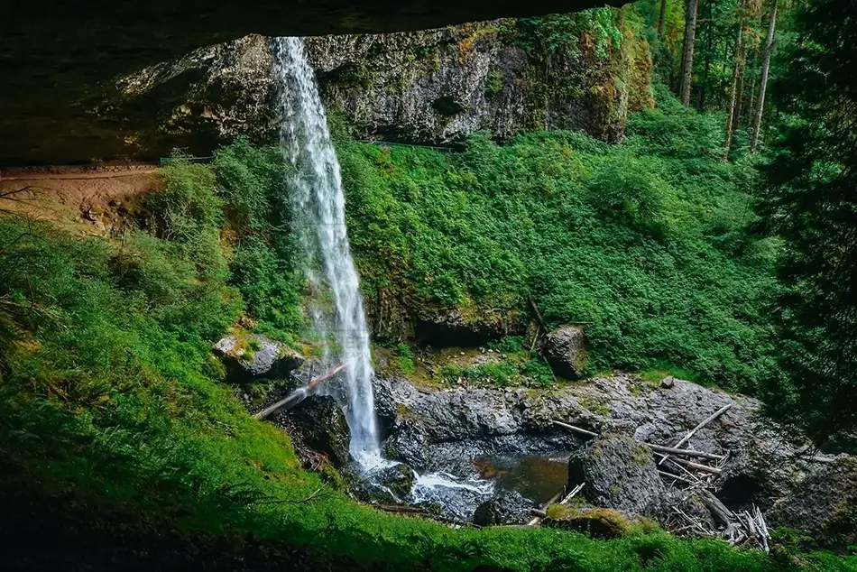 General Section Image