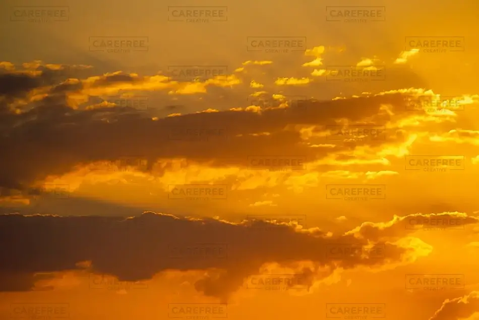 General Section Image