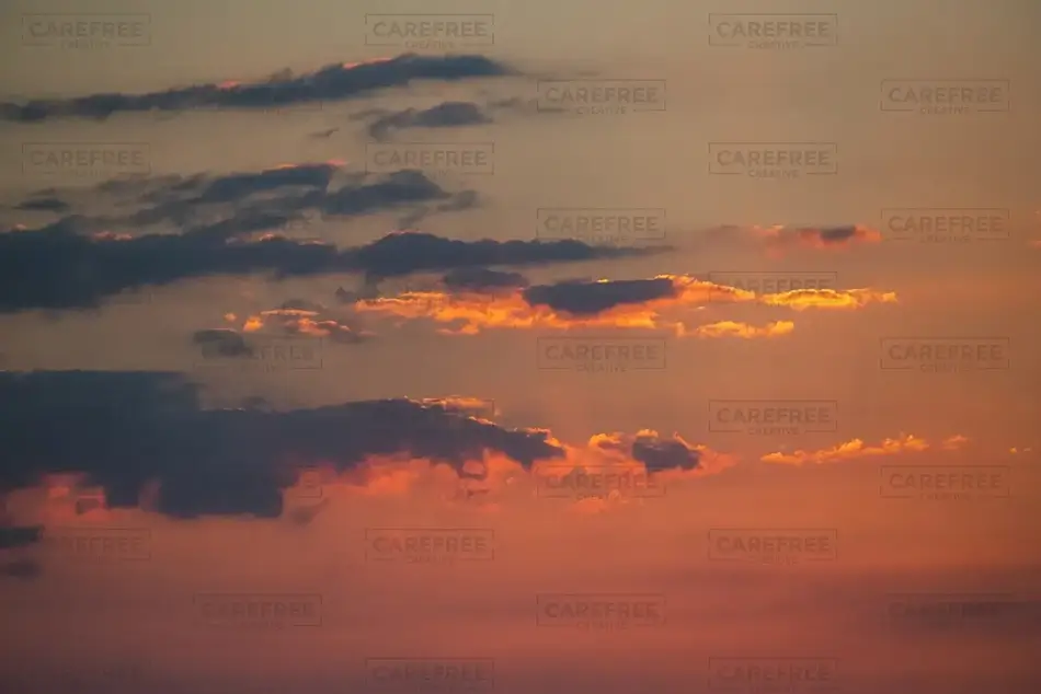 General Section Image