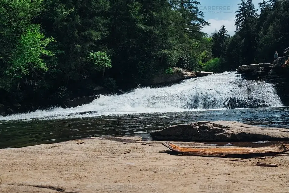 General Section Image