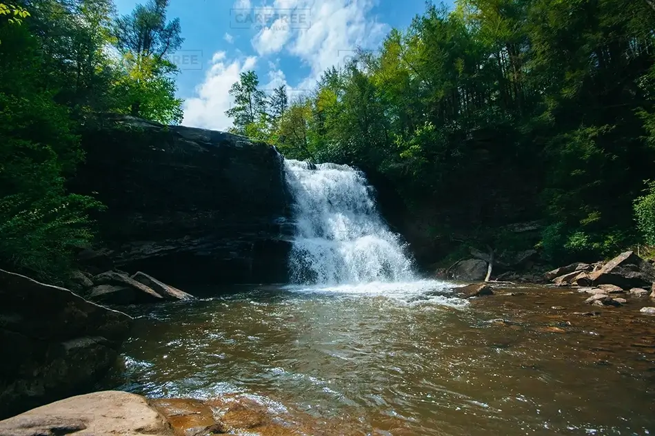 General Section Image