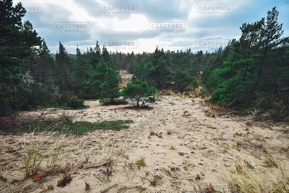 General Section Image