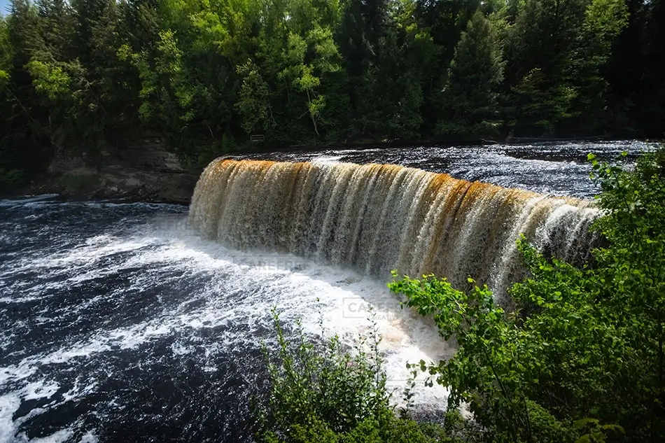 General Section Image