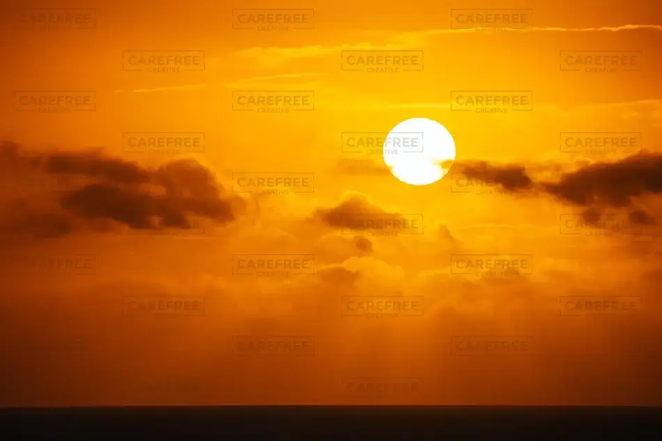 General Section Image